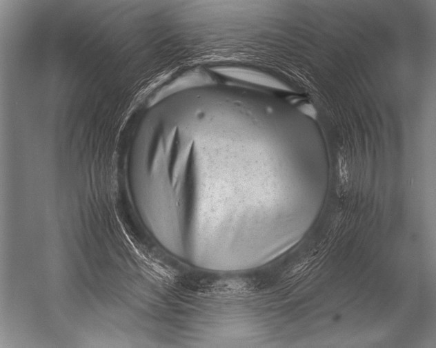 X0000052560492200507221439