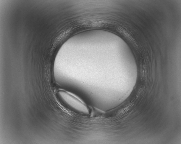X0000052560493200507221439