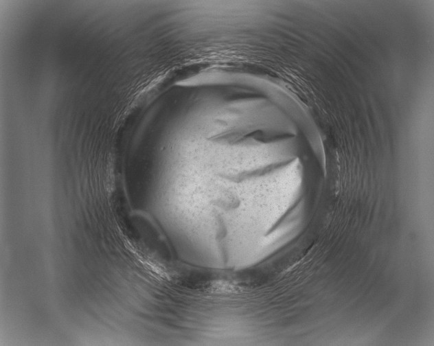 X0000052560496200507221439