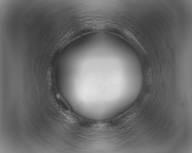 X0000052560497200507221439