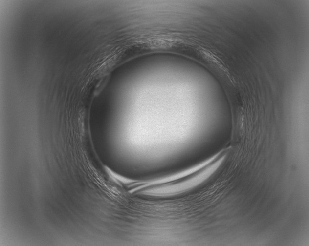 X0000052560501200507221439