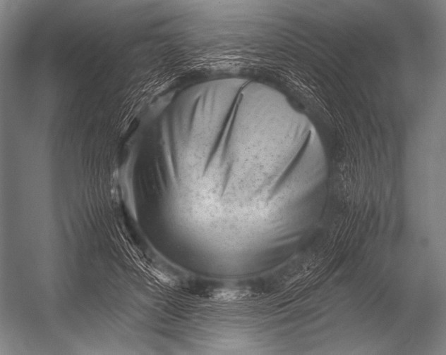 X0000052560504200507221439