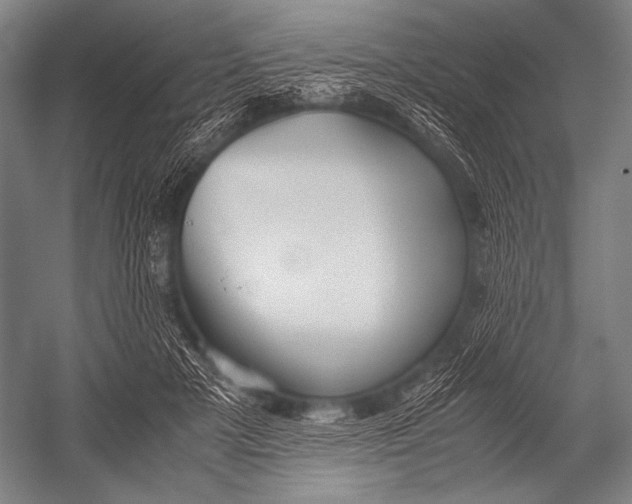 X0000052560505200507221439