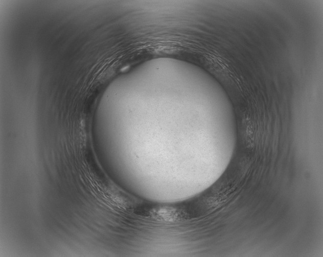 X0000052560506200507221439