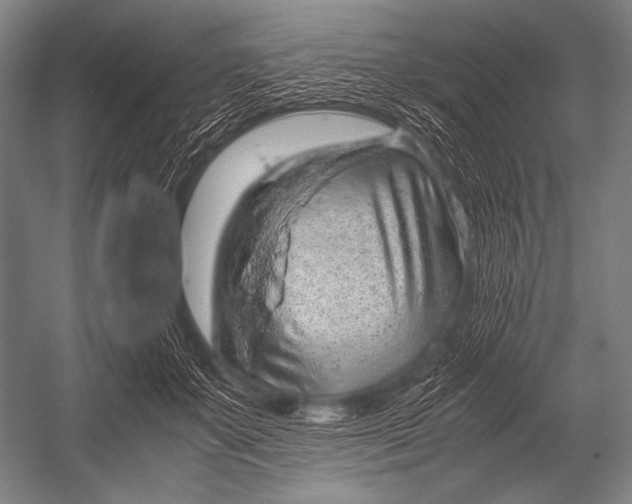 X0000052560507200507221439