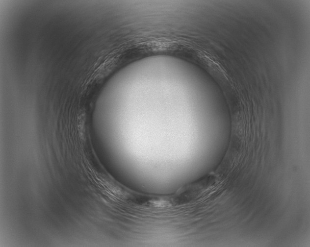 X0000052560509200507221439