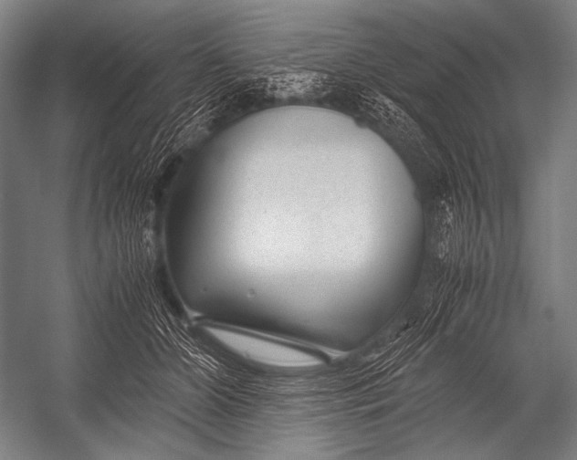 X0000052560510200507221439