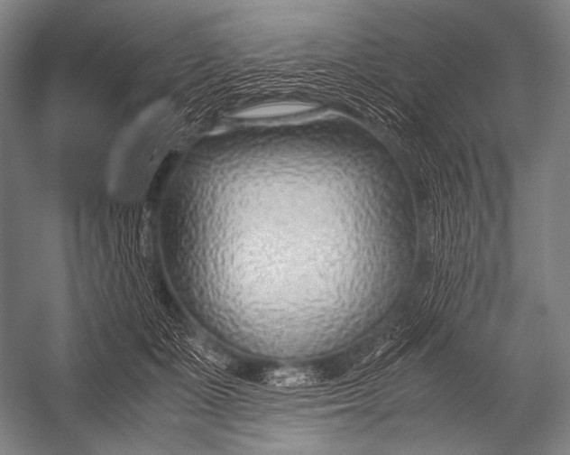 X0000052560511200507221439