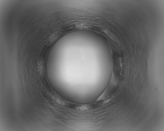 X0000052560513200507221439