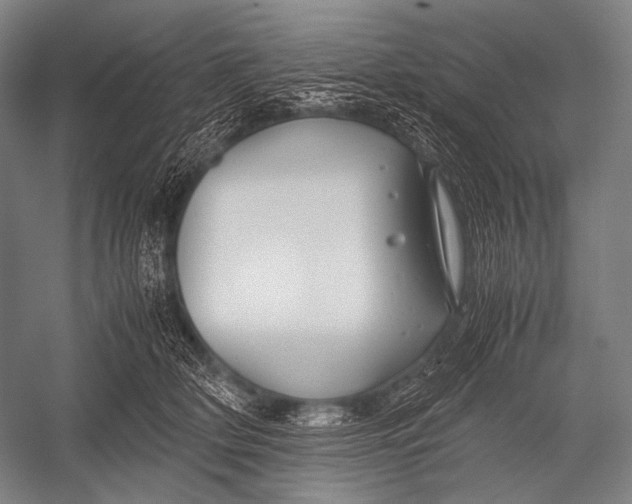 X0000052560514200507221439
