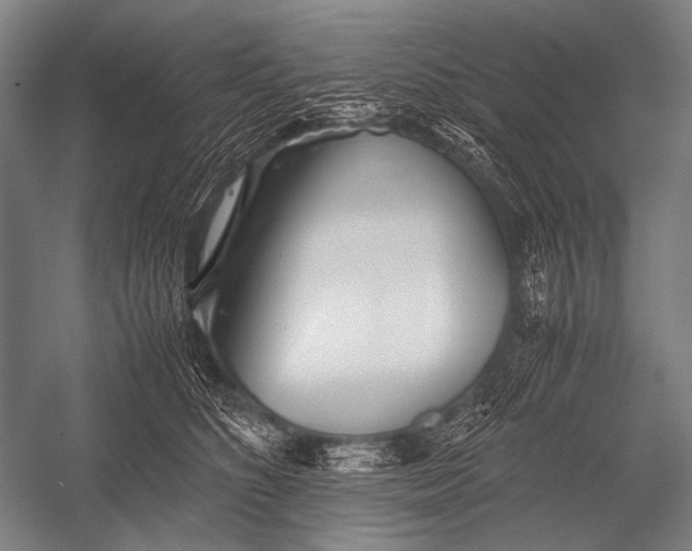 X0000052560516200507221439