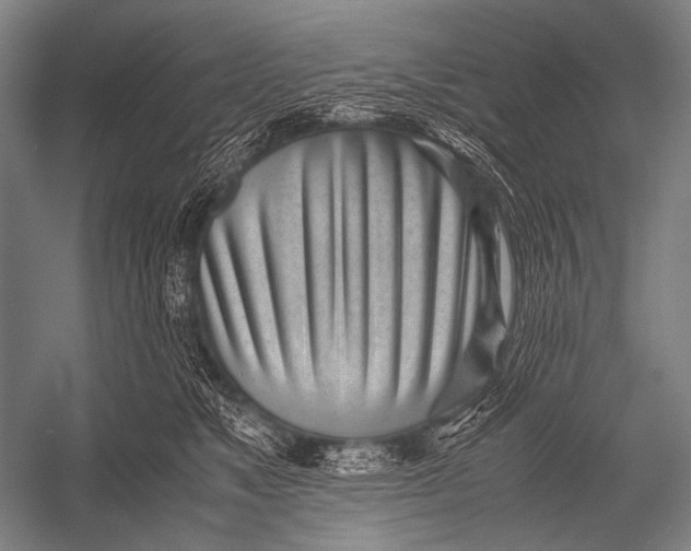 X0000052560517200507221439