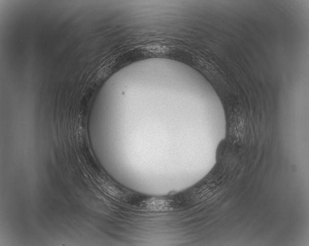 X0000052560518200507221439