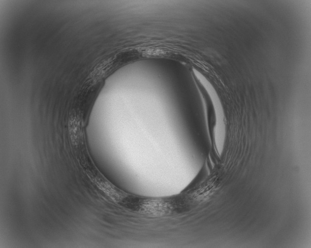 X0000052560521200507221439