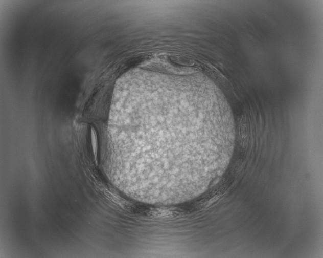 X0000052560523200507221439