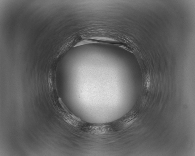 X0000052560524200507221439