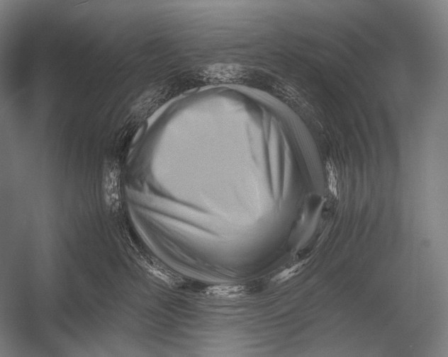 X0000052560526200507221439