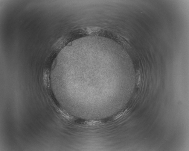 X0000052560527200507221439