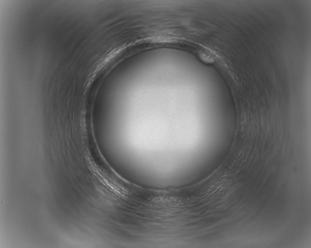 X0000052560535200507221438