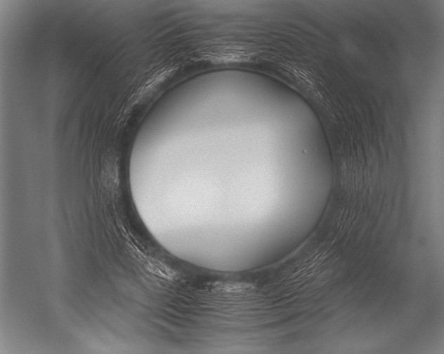 X0000052560539200507221438