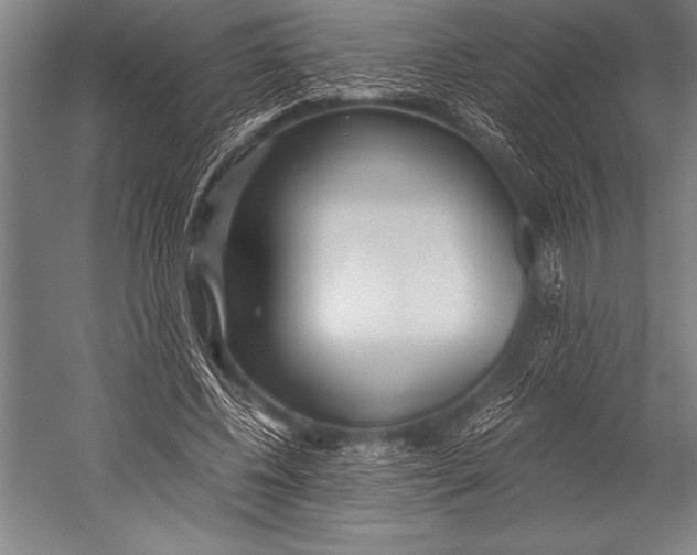 X0000052560540200507221438