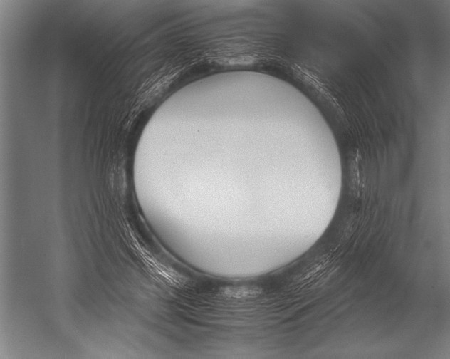 X0000052560541200507221438