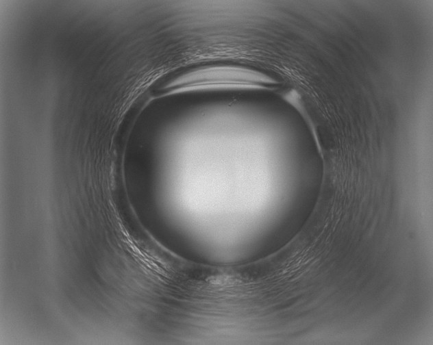 X0000052560544200507221438