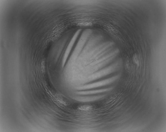 X0000052560551200507221438