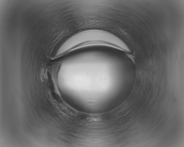 X0000052560552200507221438