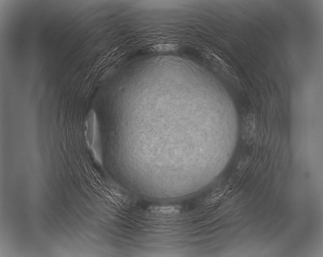 X0000052560553200507221438