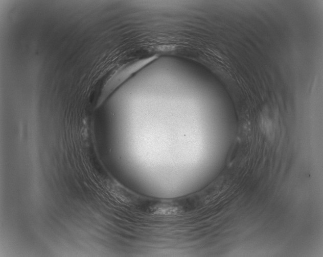 X0000052560555200507221438