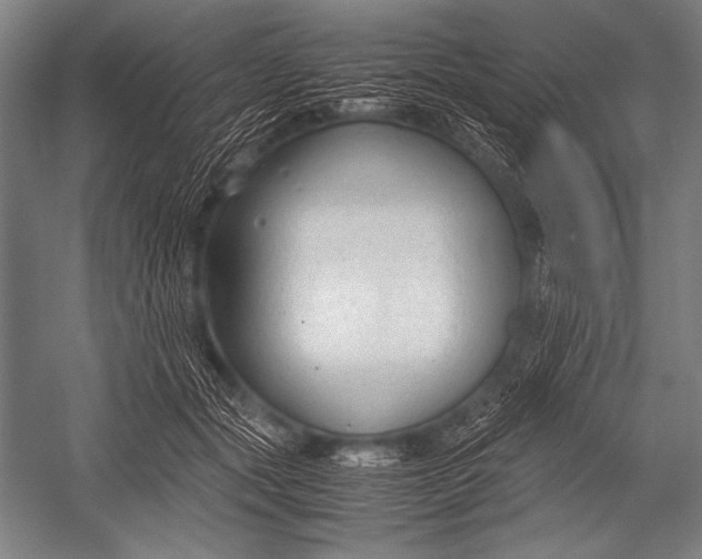 X0000052560557200507221439