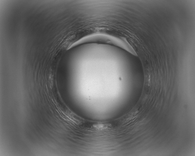 X0000052560558200507221439