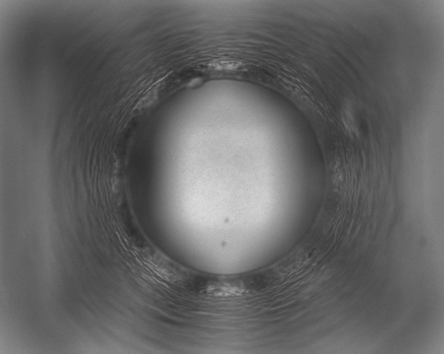 X0000052560559200507221439