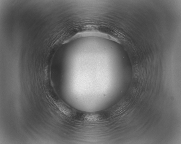 X0000052560560200507221439