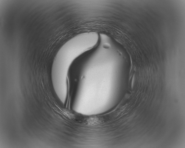 X0000052560562200507221439