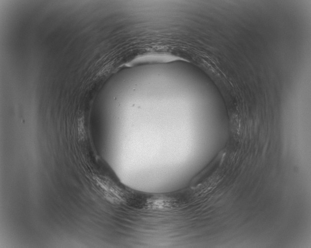 X0000052560564200507221439