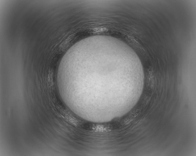 X0000052560565200507221439