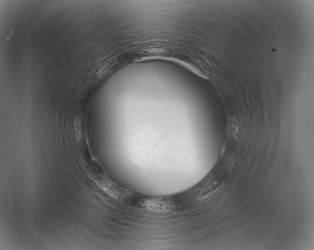 X0000052560568200507221439