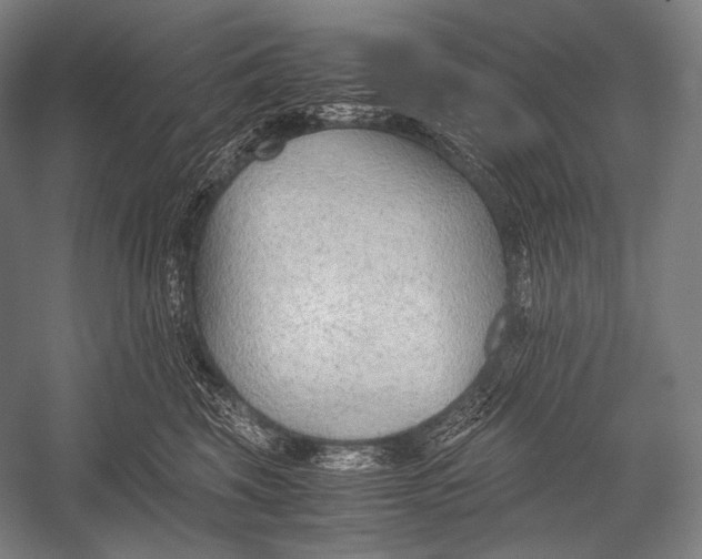 X0000052560569200507221439