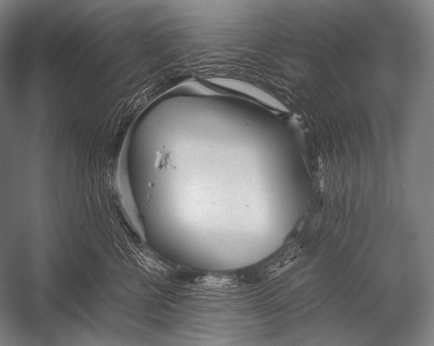 X0000052560570200507221439