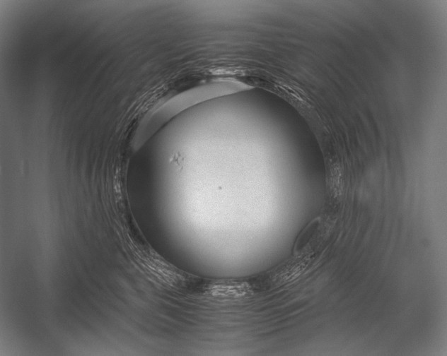 X0000052560571200507221439
