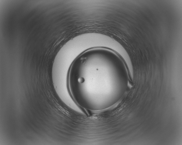 X0000052560572200507221439