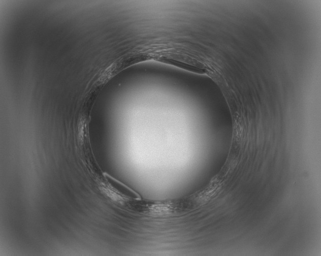 X0000052560574200507221439
