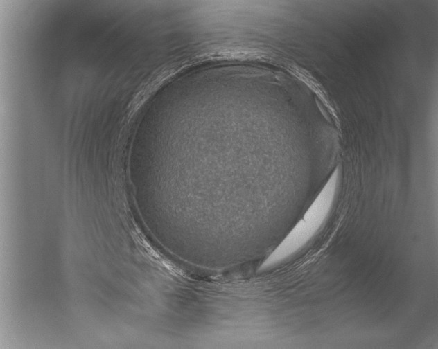 X0000052560577200507221438