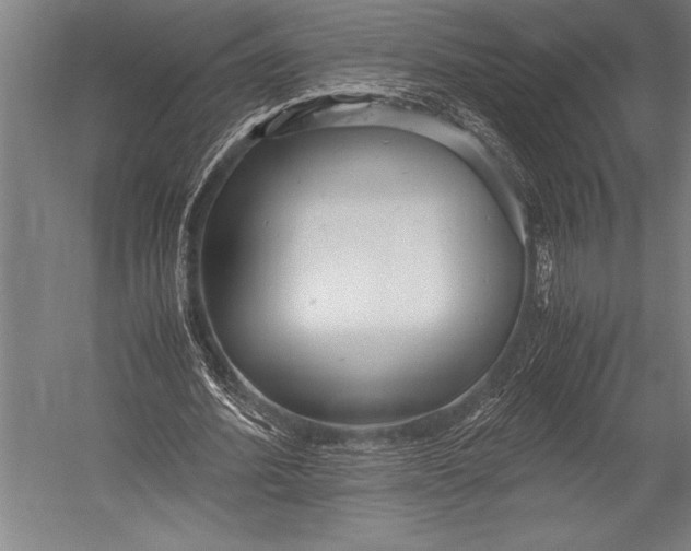 X0000052560580200507221438