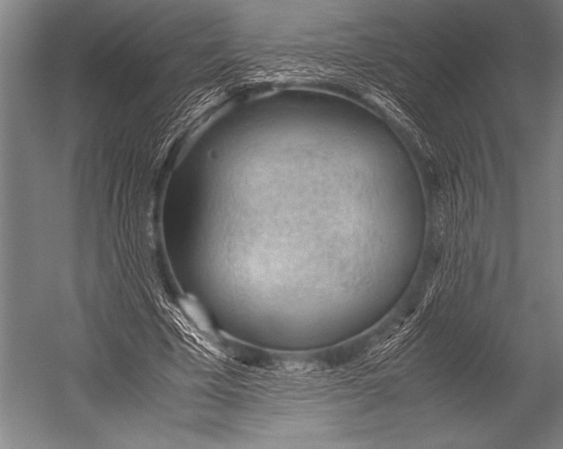 X0000052560585200507221438