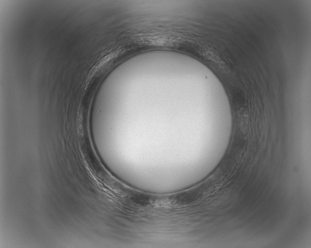X0000052560587200507221438
