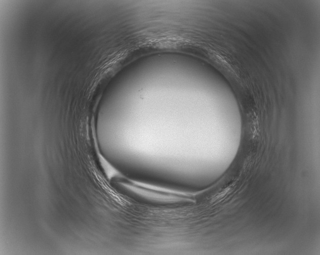 X0000052560589200507221438