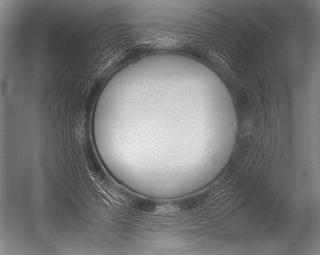 X0000052560591200507221438